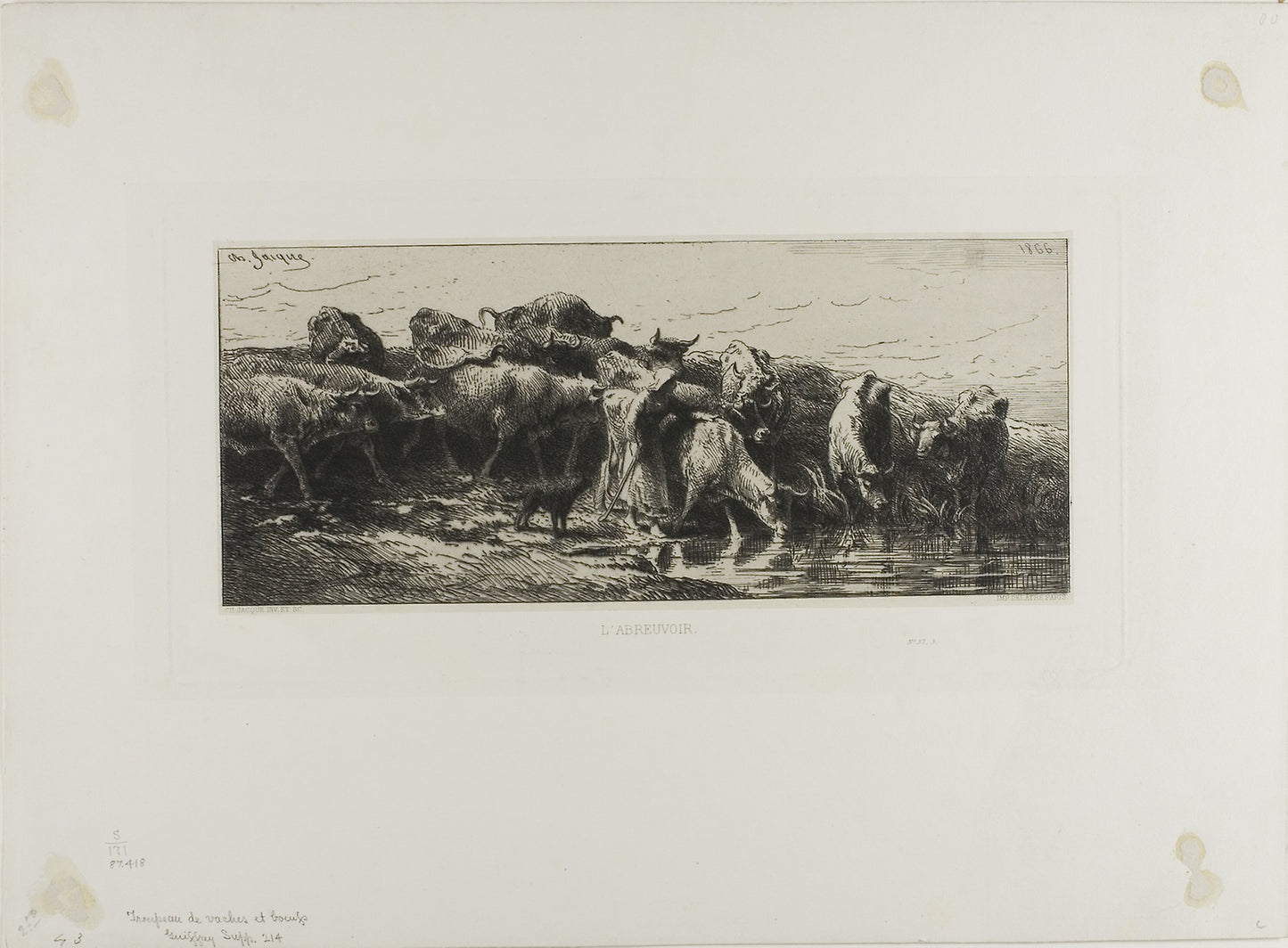 Cows Drinking -  Charles Émile Jacque,  Poster Print Wall Art