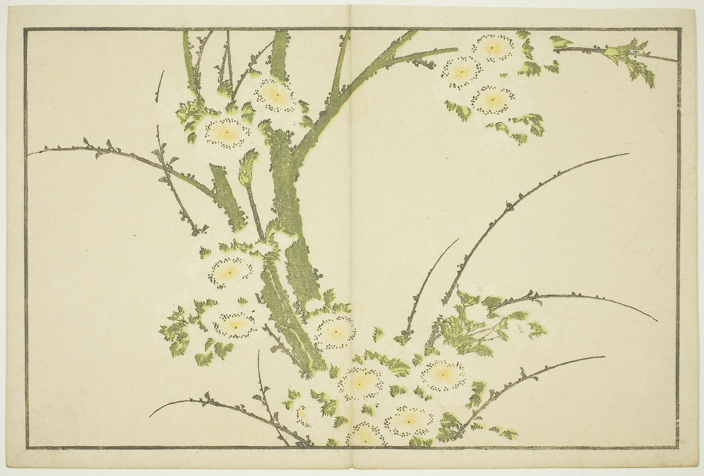 Flowers, from The Picture Book of Realistic Paintings of Hokusai (Hokusai shashin gafu) -  Katsushika Hokusai ?? ??,  Poster Print Wall Art