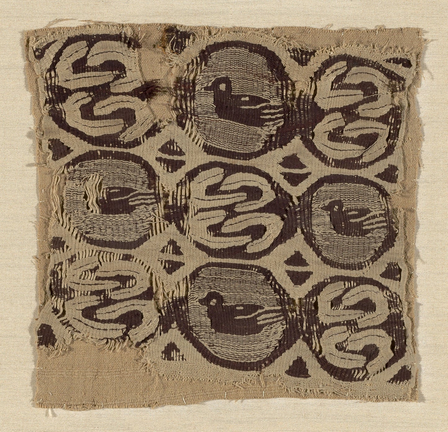 Fragment -  Egypt, Bahnasa,  Poster Print Wall Art