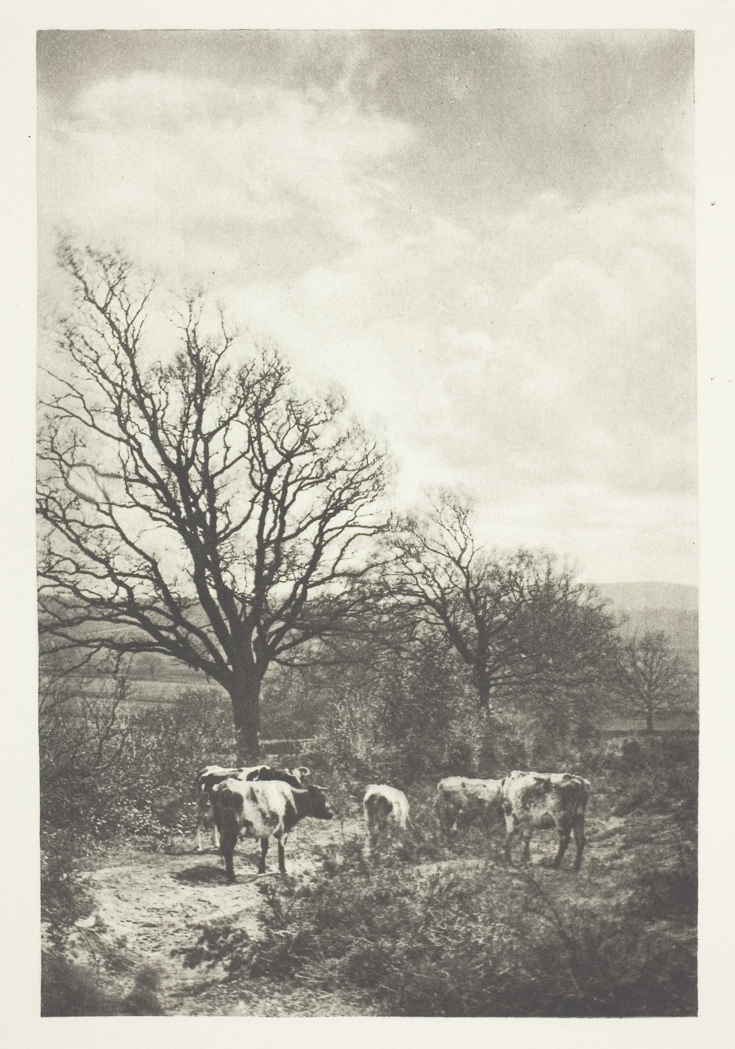 A Windy Corner -  B. Gay Wilkinson,  Poster Print Wall Art