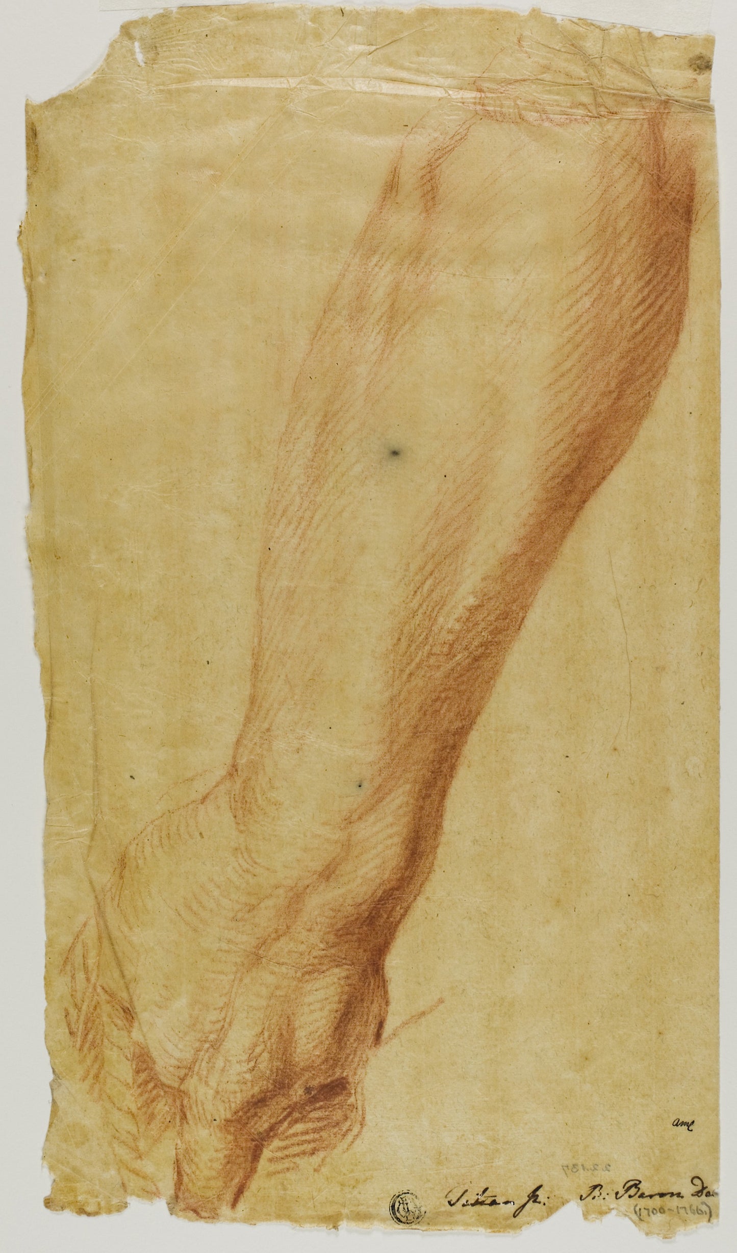 Left Arm of a Hunter -  Bernard Baron (French, 1696-1762),  Poster Print Wall Art