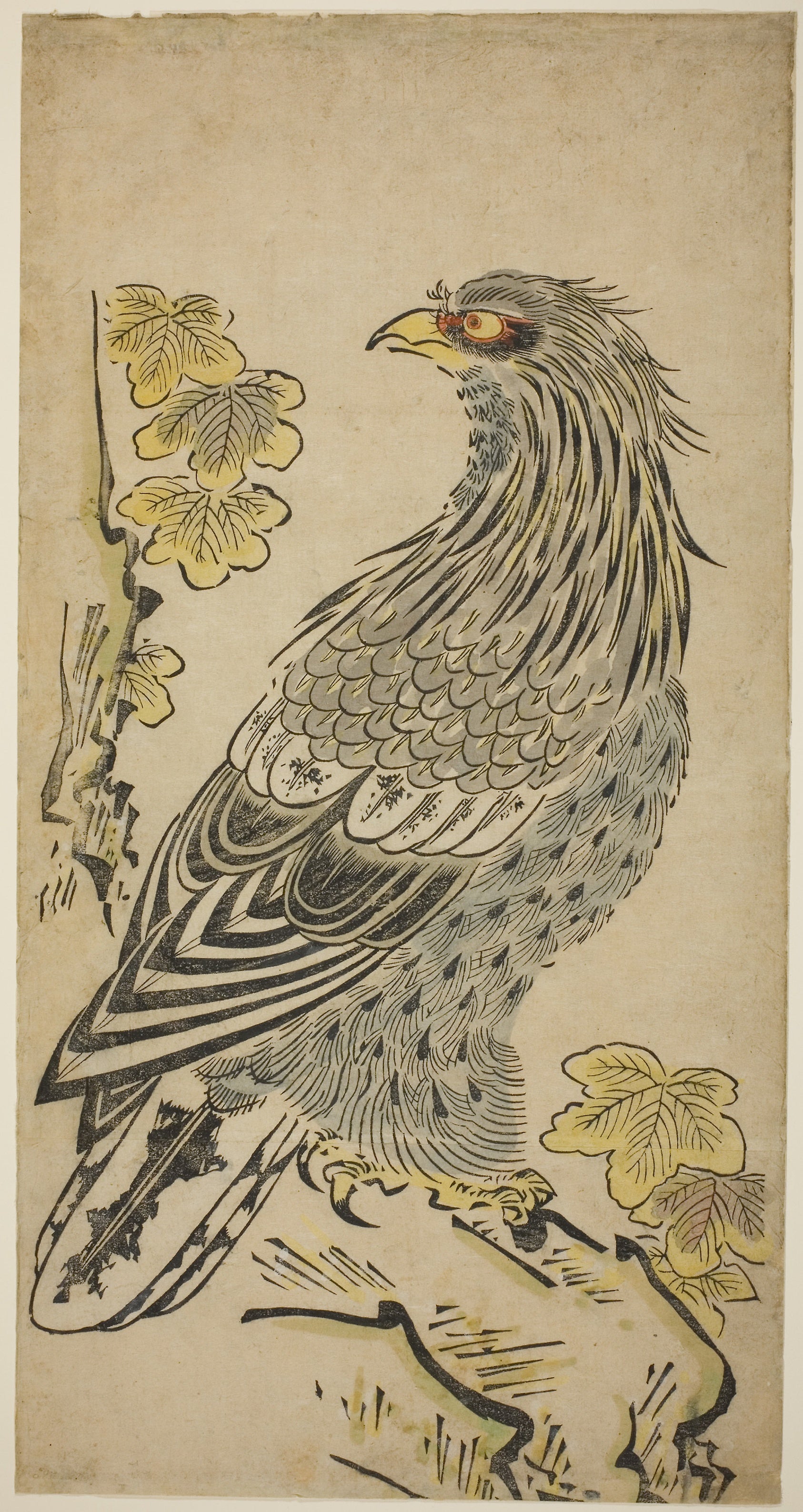 A Hawk on a Cliff near a Kiri Tree: Attributed to Torii Kiyomasu I,16x12"(A3) Poster