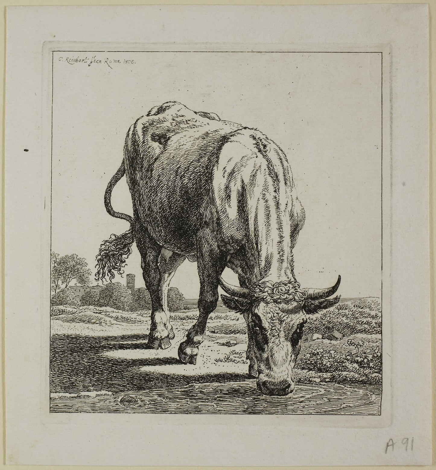 Cow Drinking, from Die Zweite Thierfolge -  Johann Christian Reinhart,  Poster Print Wall Art