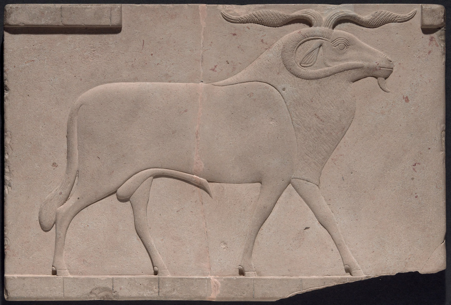 Plaque Depicting a Ram -  Egyptian,  Poster Print Wall Art