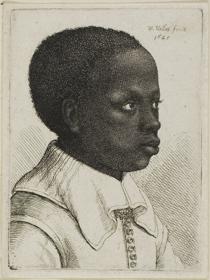 Head of a Young Black Boy in Profile to Right: Wenceslaus Hollar,16x12