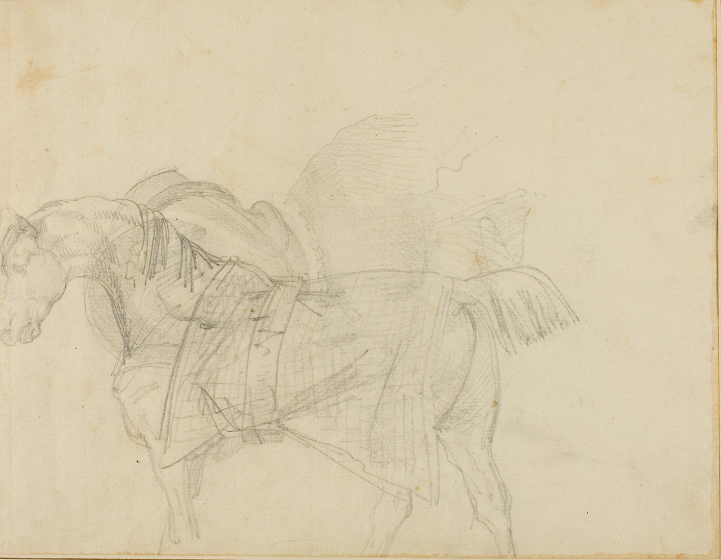 Horse Wearing a Blanket -  Jean Louis André Théodore Géricault,  Poster Print Wall Art