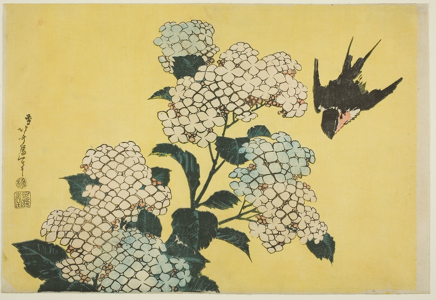 Hydrangea and Swallow, from an untitled series of large flowers -  Katsushika Hokusai ?? ??,  Poster Print Wall Art