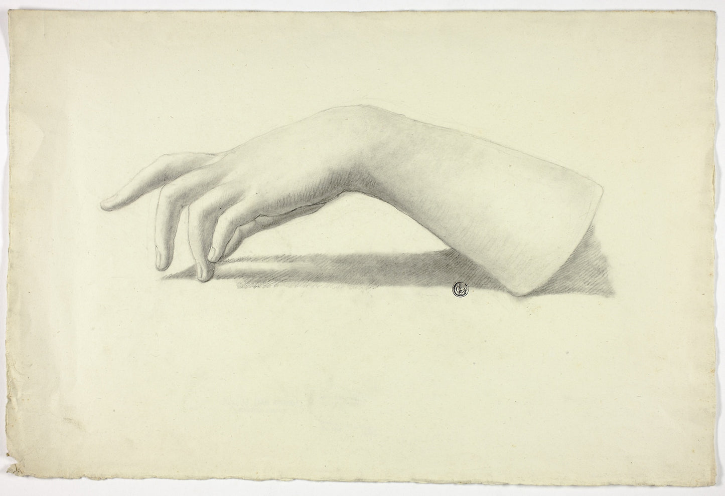 Left Forearm and Hand -  Elizabeth Murray,  Poster Print Wall Art