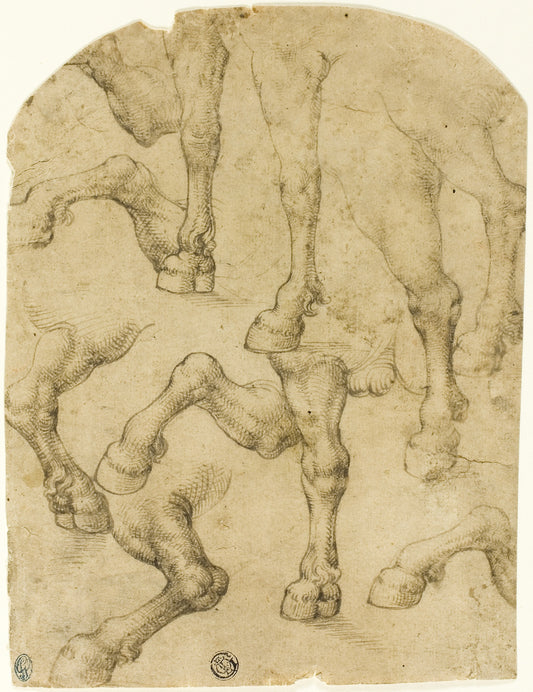 Sketches of Horses' (or Dromedaries') Legs (recto); Columns (verso): Follower of Leonardo da Vinci,16x12"(A3) Poster