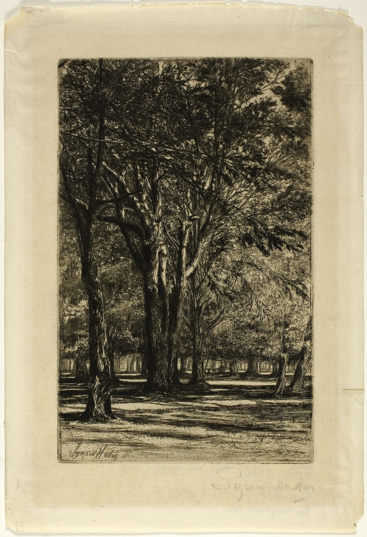 Kensington Gardens, No. II (large plate): Francis Seymour Haden,16x12"(A3) Poster