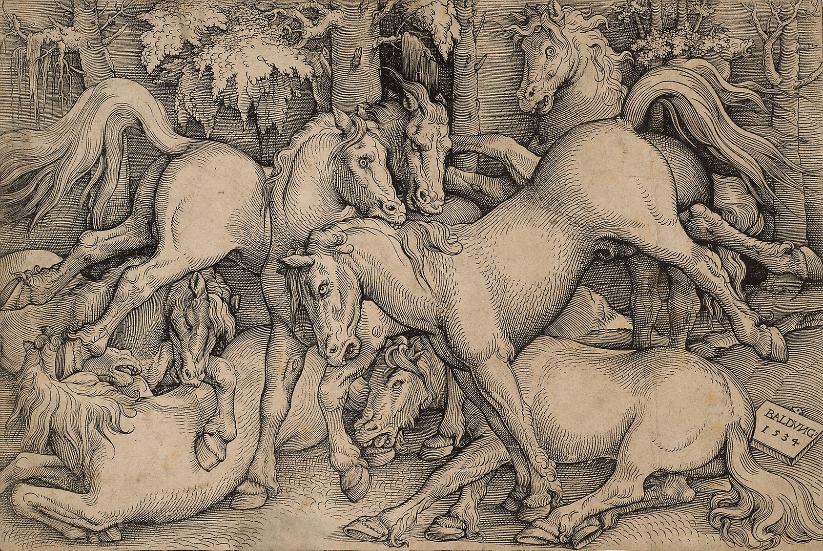 Wild Horses Fighting: Hans Baldung Grien,16x12"(A3) Poster