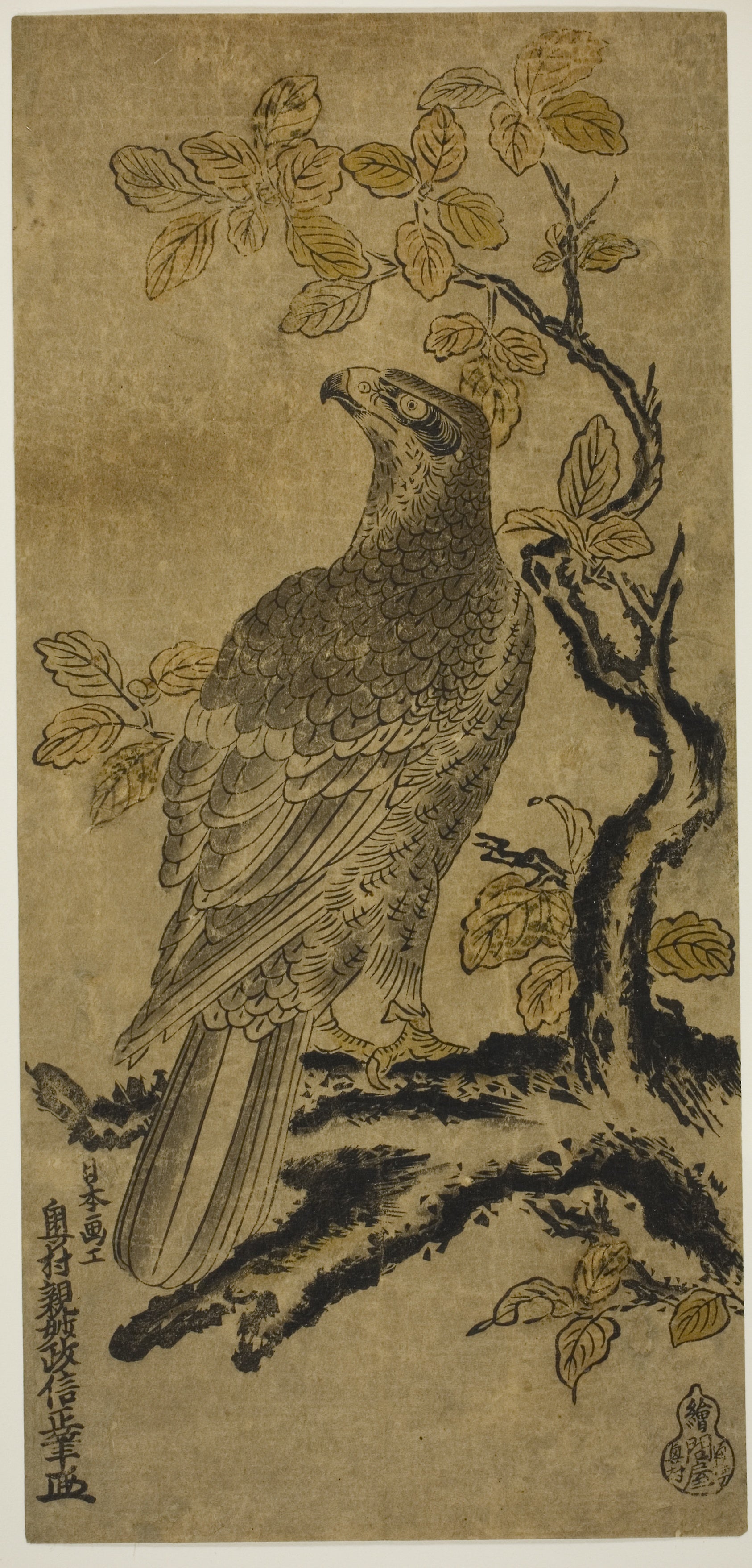 A Hawk on a Kiri Tree: Okumura Masanobu  ,16x12"(A3) Poster