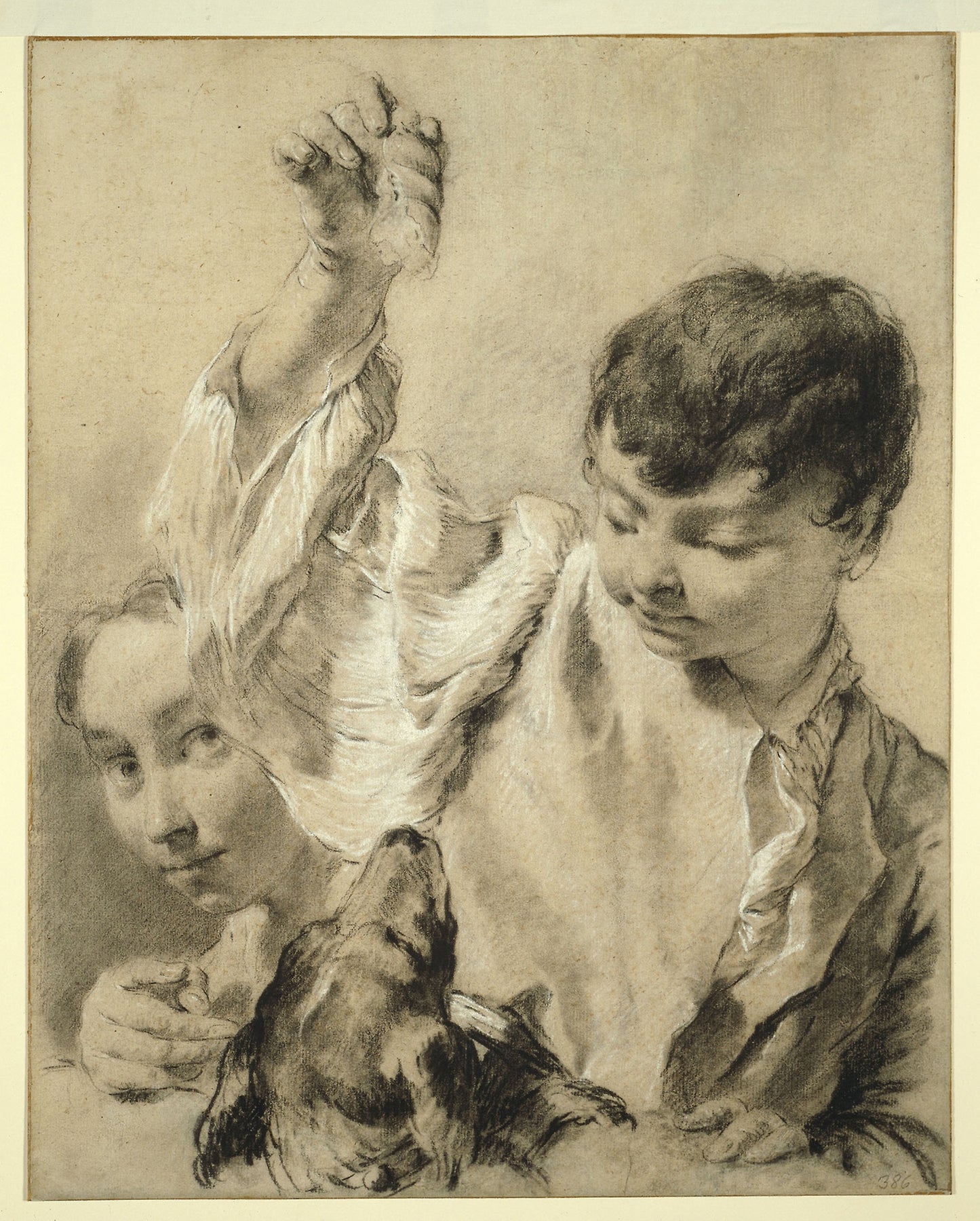 Giacomo Feeding a Dog -  Giovanni Battista Piazzetta,  Poster Print Wall Art