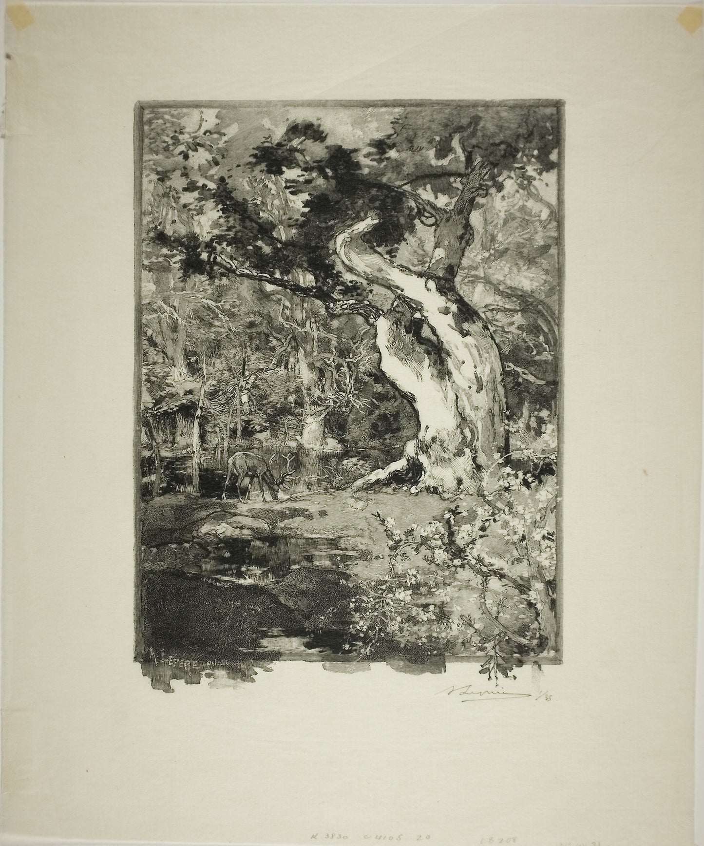 Le Clovis, Plateau de Bellecroix -  Louis Auguste Lepère (French, 1849-1918),  Poster Print Wall Art
