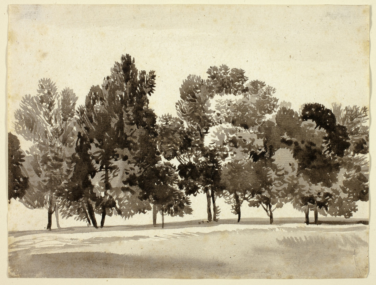 Grove of Leafy Trees -  Franz Kobell,  Poster Print Wall Art
