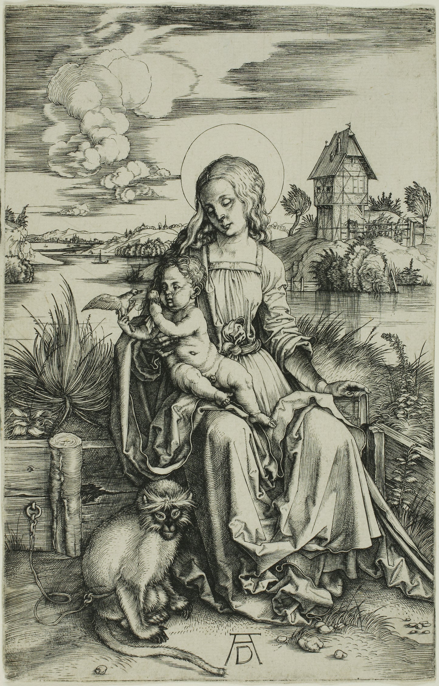 Madonna with the Monkey -  Albrecht Dürer,  Poster Print Wall Art