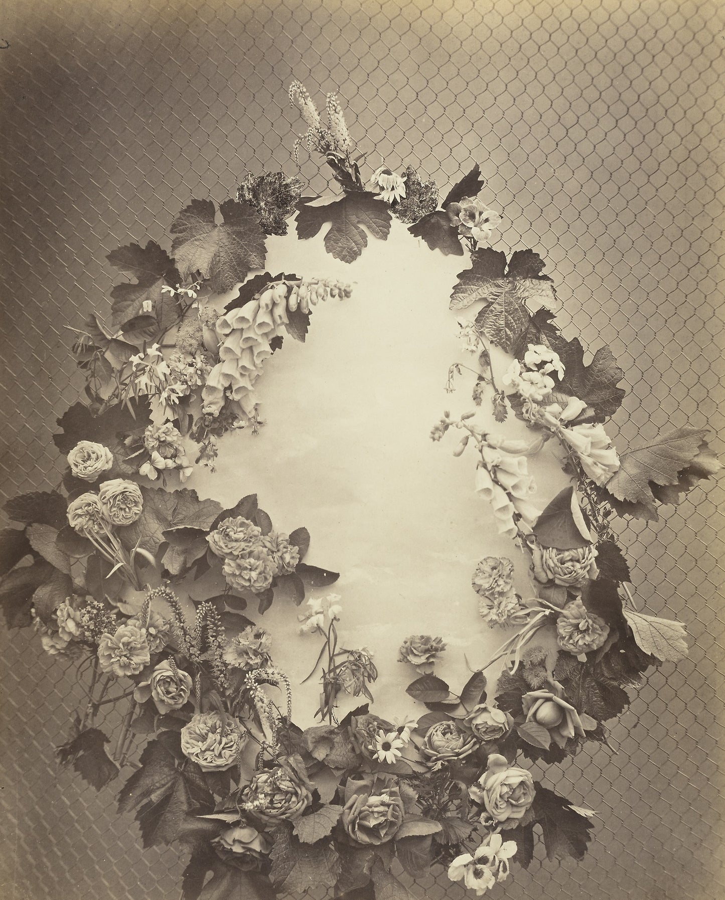 Untitled -  Charles Aubry,  Poster Print Wall Art