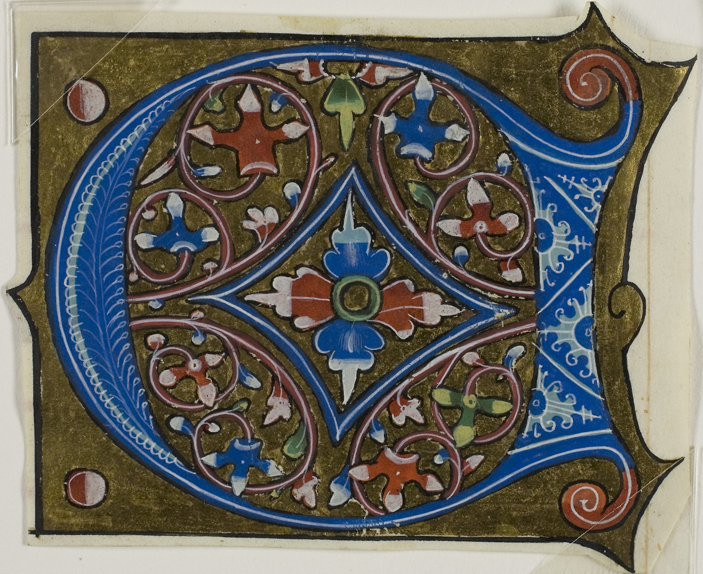Decorated Initial "D" with Leaves and Two Balls from a Choir Book -  French,  Poster Print Wall Art