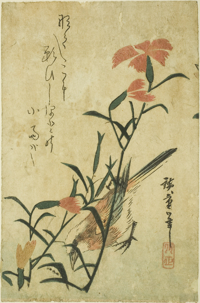Bird and wild carnation: Utagawa Hiroshige ?? ??,16x12