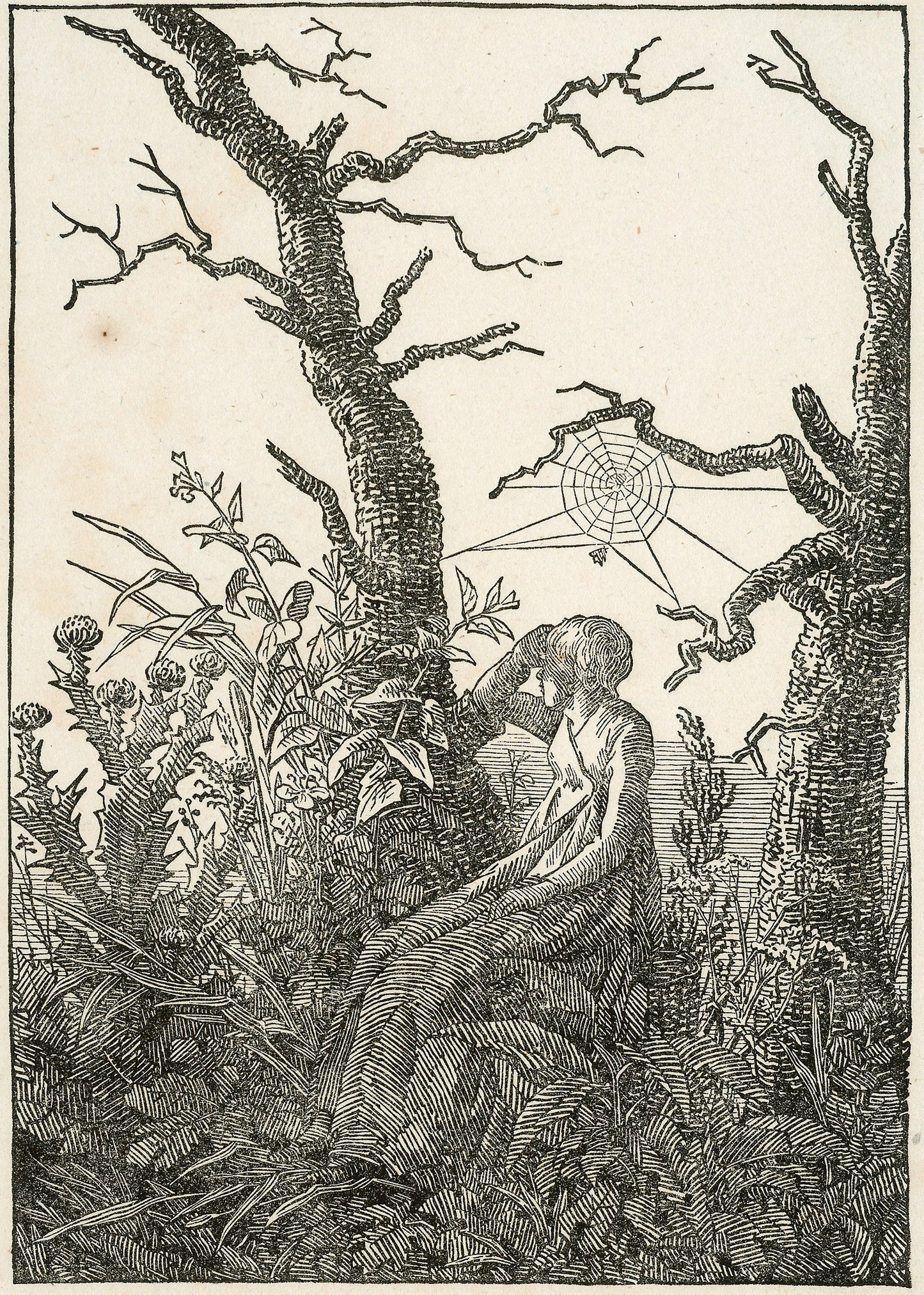Woman with Spider's Web Between Bare Trees -  Caspar David Friedrich,  Poster Print Wall Art