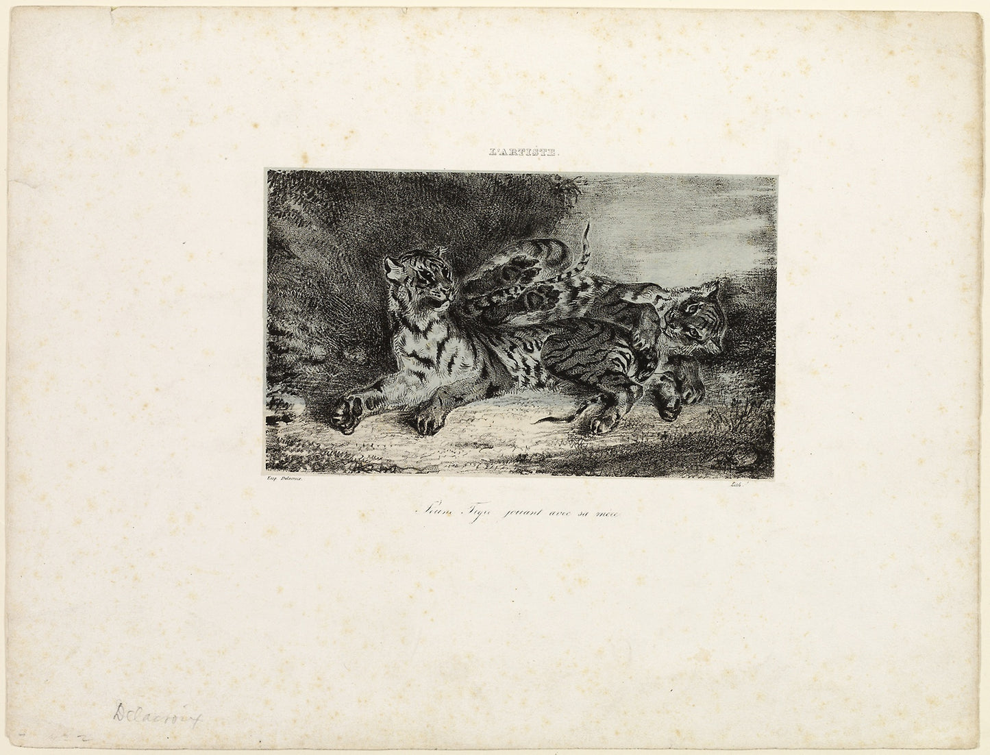 Young Tiger Playing with its Mother -  Eugène Delacroix,  Poster Print Wall Art