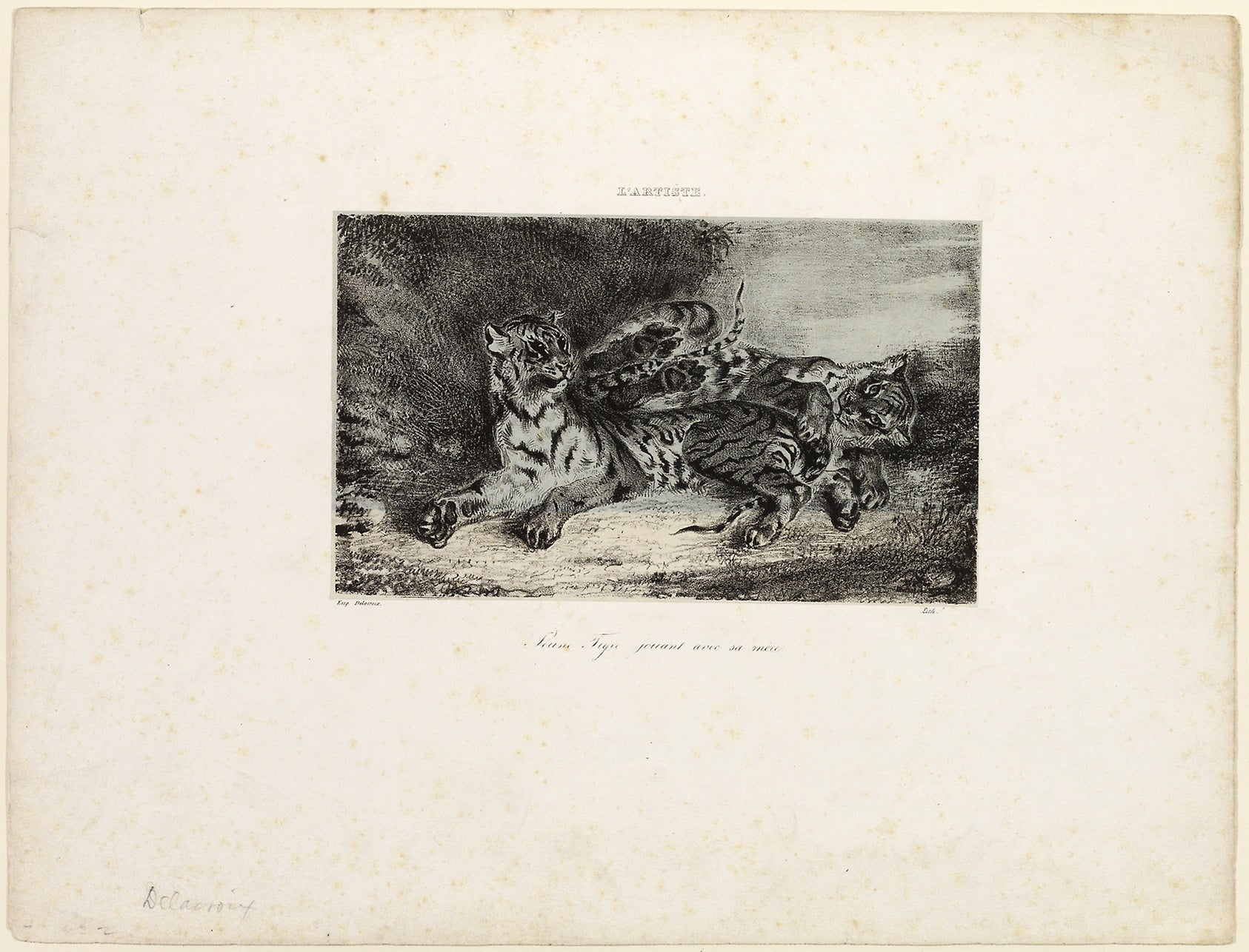 Young Tiger Playing with its Mother: Eugène Delacroix,16x12"(A3) Poster