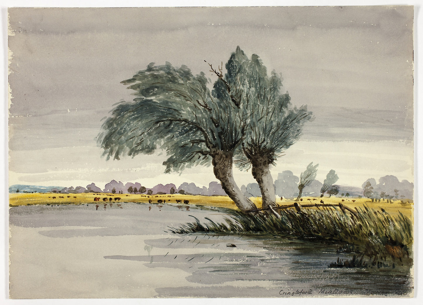 Cringleford Meadows-Morning -  Unknown Artist (British, 19th century),  Poster Print Wall Art