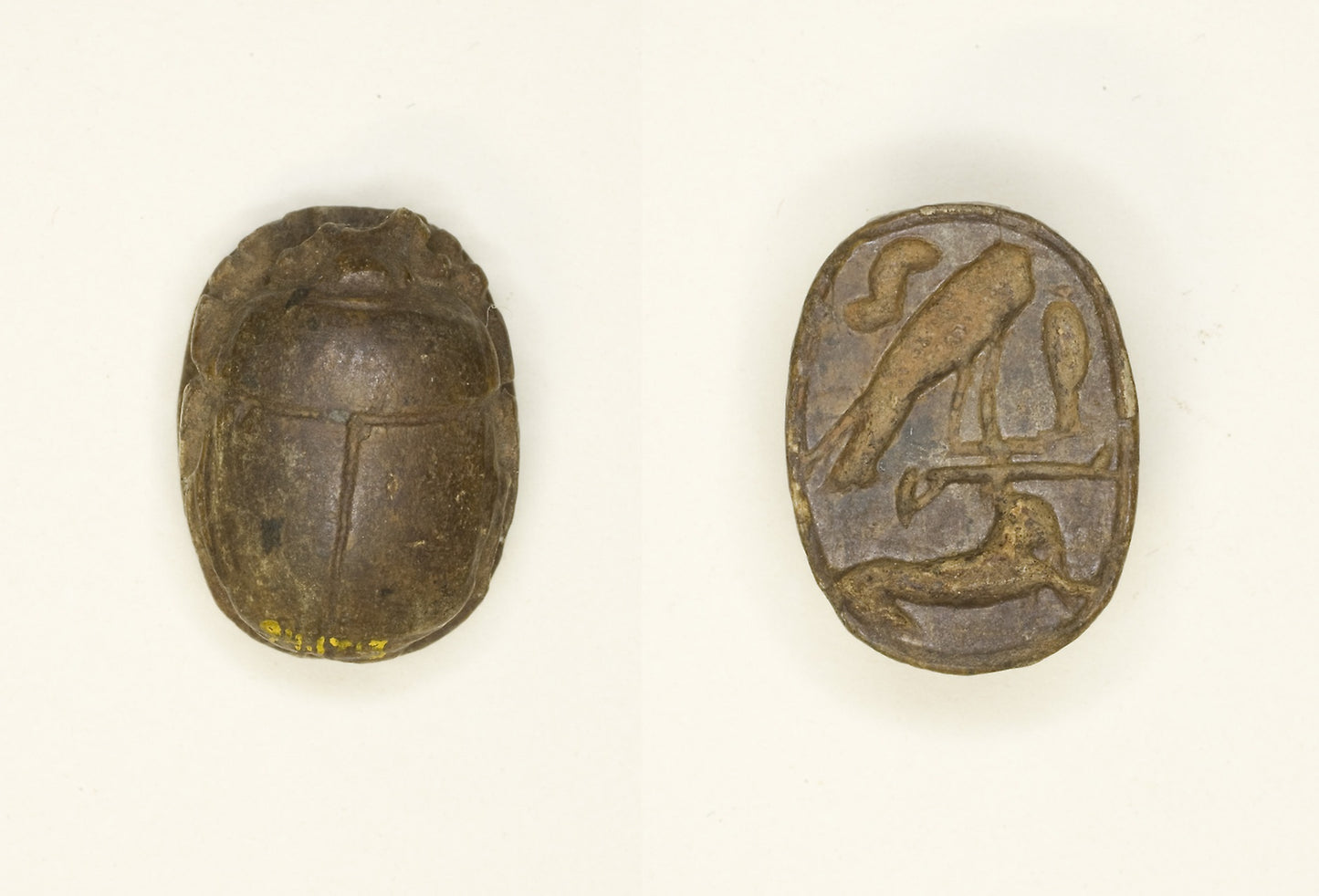 Scarab -  Falcon with Antelope -  Egyptian,  Poster Print Wall Art