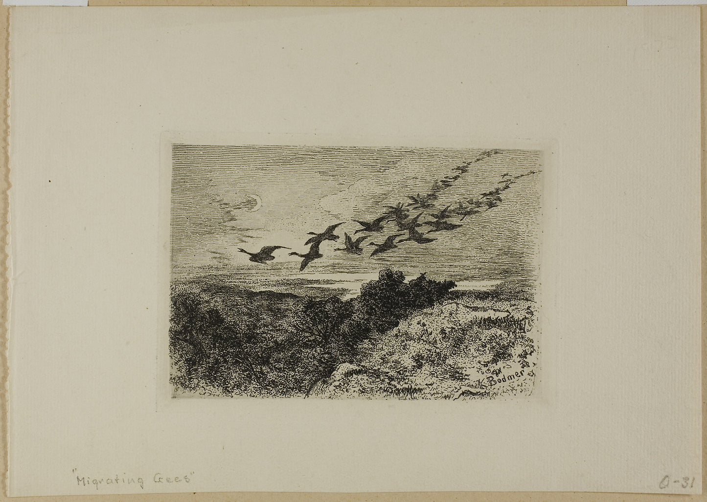Flying Geese -  Karl Bodmer,  Poster Print Wall Art
