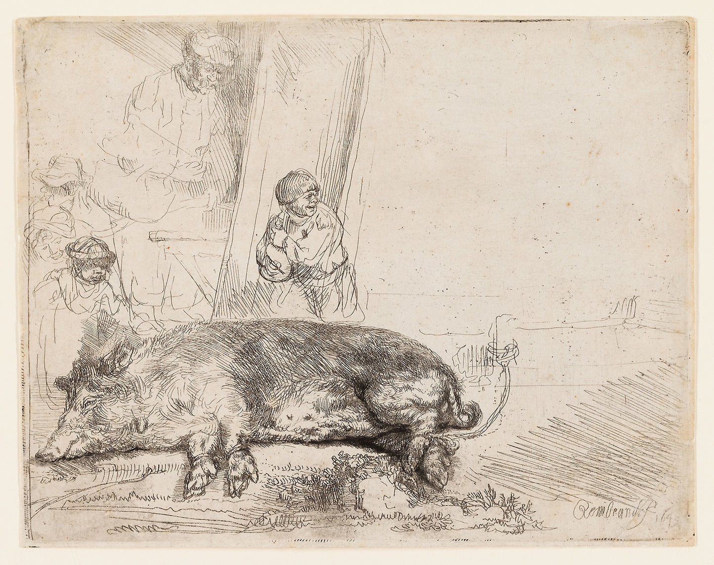 The Hog -  Rembrandt van Rijn,  Poster Print Wall Art