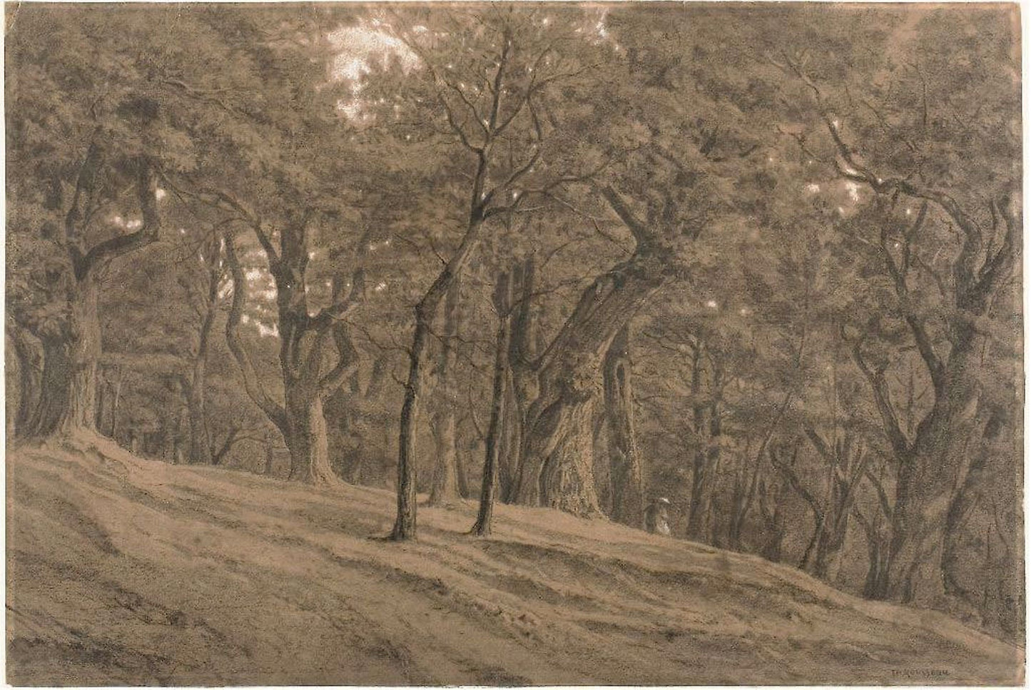 In the Forest of Fontainbleau -  Théodore Rousseau,  Poster Print Wall Art