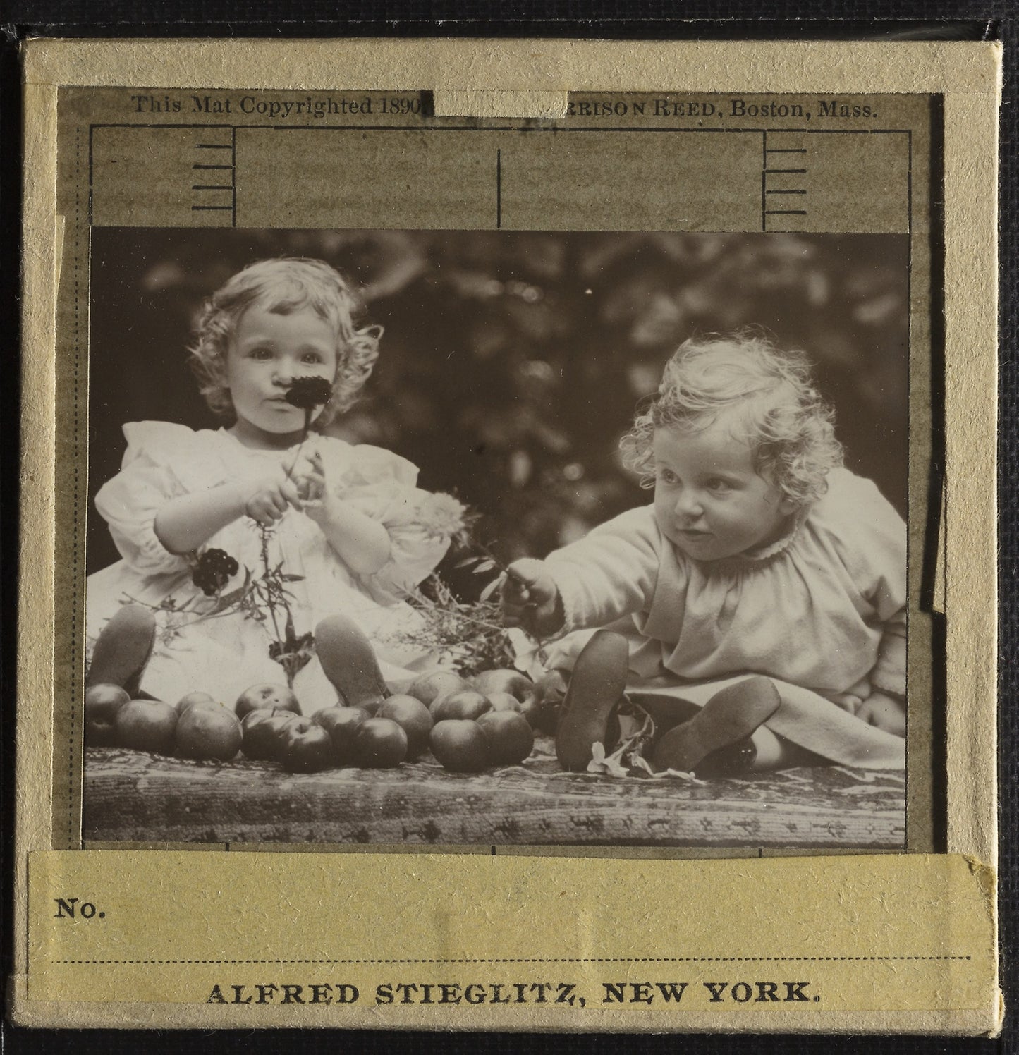 Nieces - Flora holding flower, and Hedwig -  Alfred Stieglitz,  Poster Print Wall Art