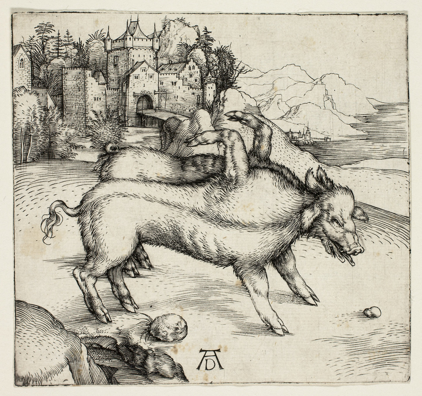 The Monstrous Sow of Landser -  Albrecht Dürer,  Poster Print Wall Art