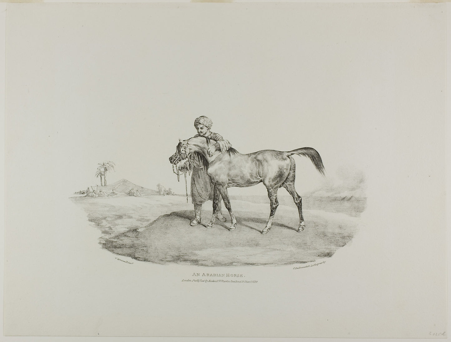 An Arabian Horse, plate 8 from Various Subjects Drawn from Life on Stone -  Jean Louis André Théodore Géricault (French, 1791-1824),  Poster Print Wall Art
