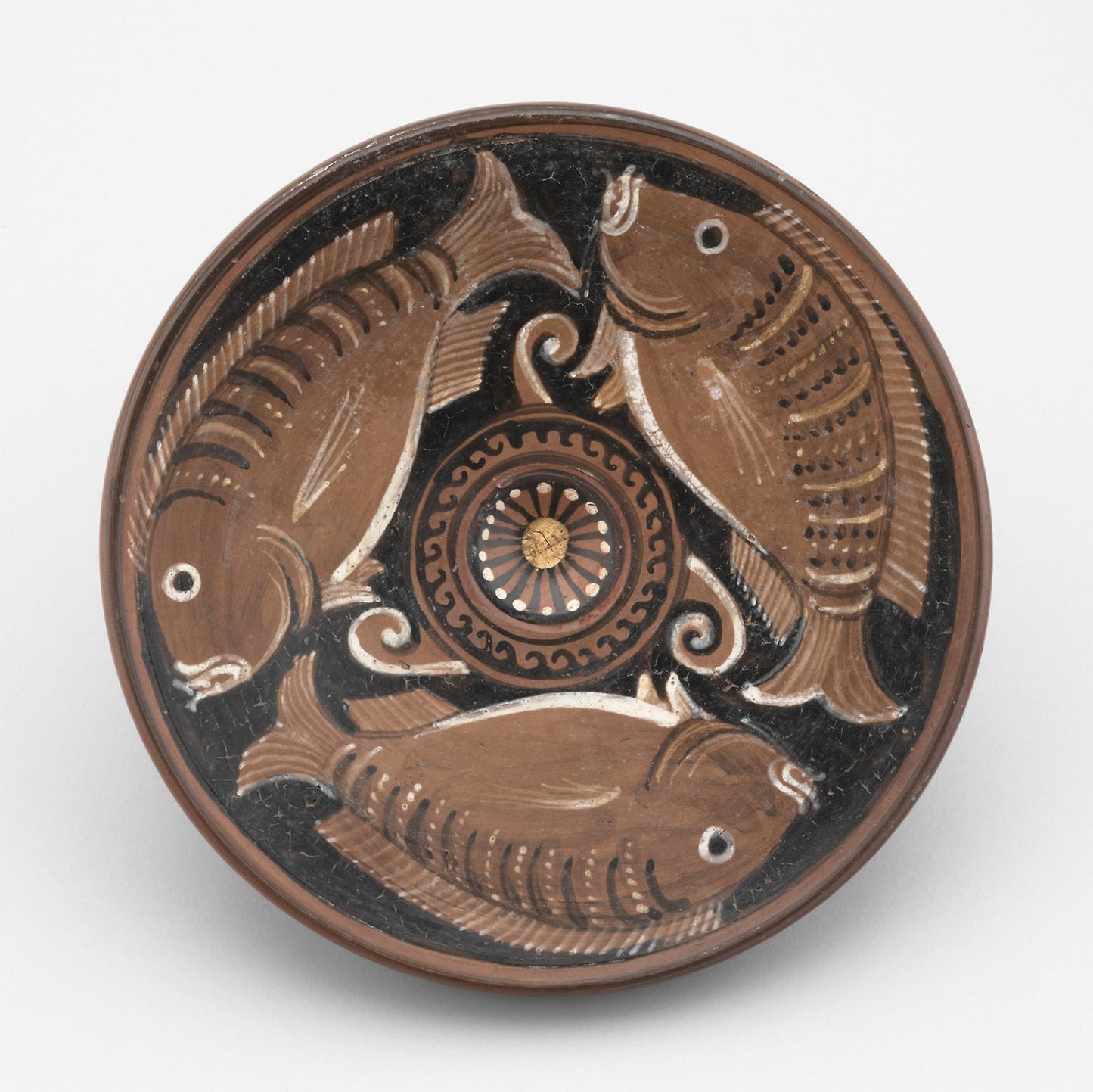 Fish Plate -  Greek; Canosa, Apulia, Italy,  Poster Print Wall Art