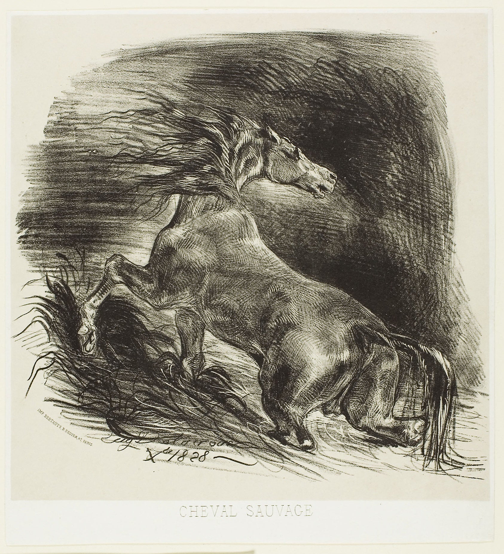 Wild Horse or Frightened Horse Leaving the Water: Eugène Delacroix,16x12"(A3) Poster