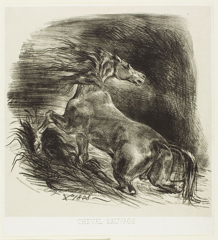 Wild Horse or Frightened Horse Leaving the Water: Eugène Delacroix,16x12