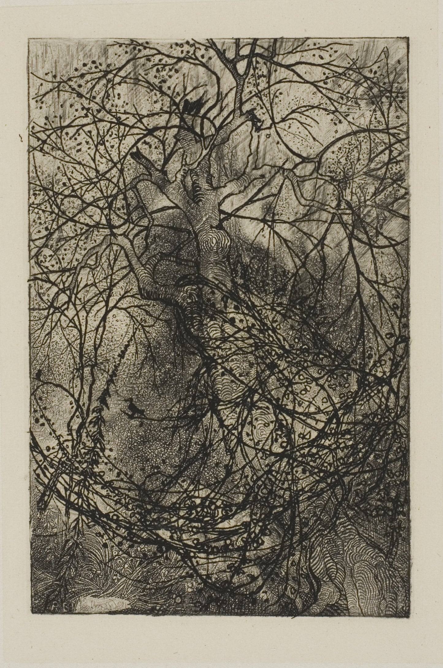 Tree Branches -  Rodolphe Bresdin,  Poster Print Wall Art