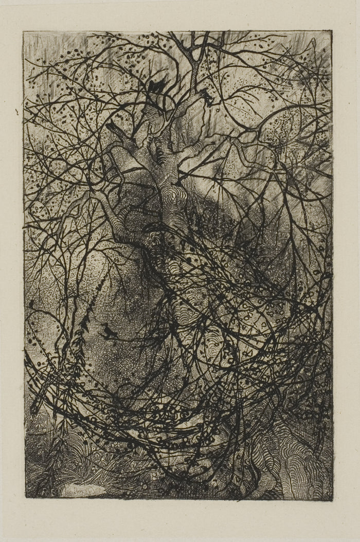 Tree Branches: Rodolphe Bresdin,16x12