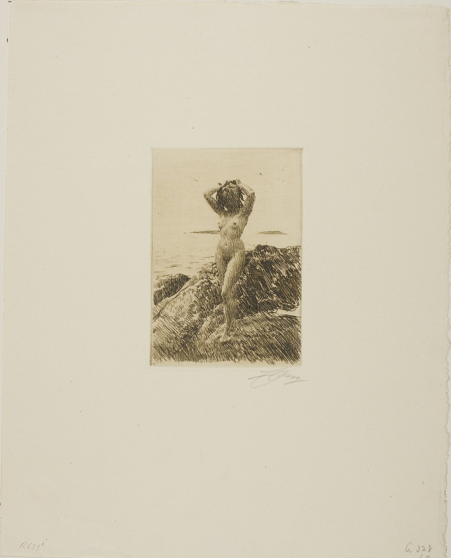 Hårtång (Seawood-wreath) -  Anders Zorn,  Poster Print Wall Art
