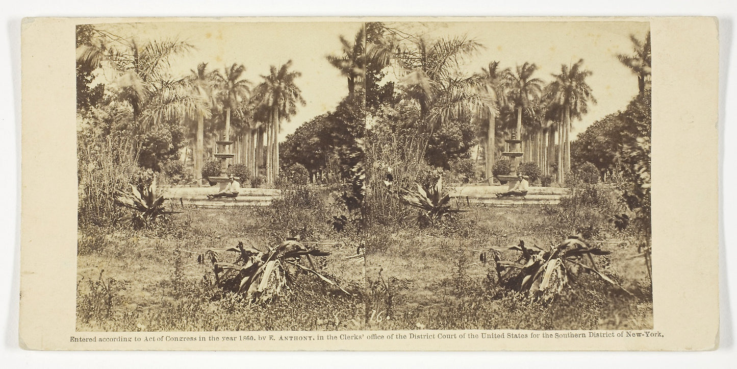 View at the Bishop's Garden, Havana -  Anthony & Company,  Poster Print Wall Art