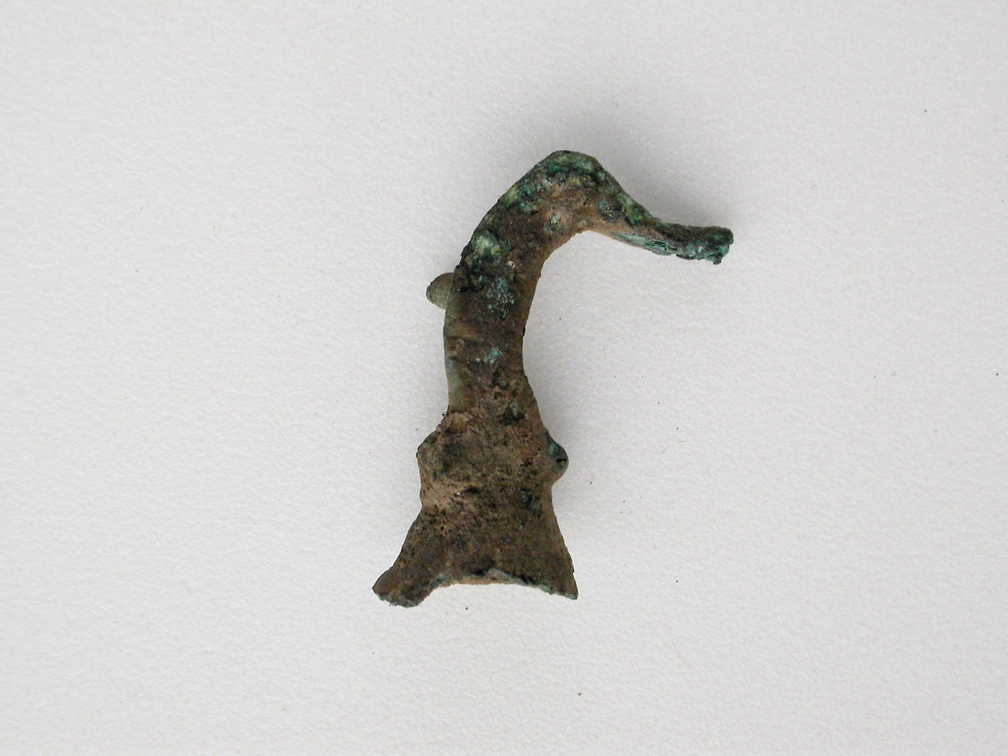 Bird Head Fragment -  Greek; Thessaly,  Poster Print Wall Art