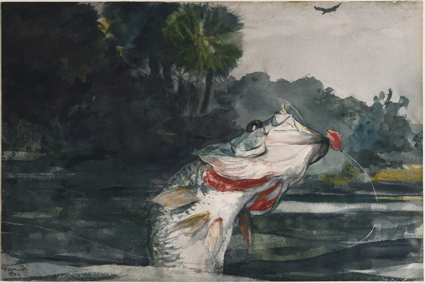 Life-Size Black Bass -  Winslow Homer,  Poster Print Wall Art