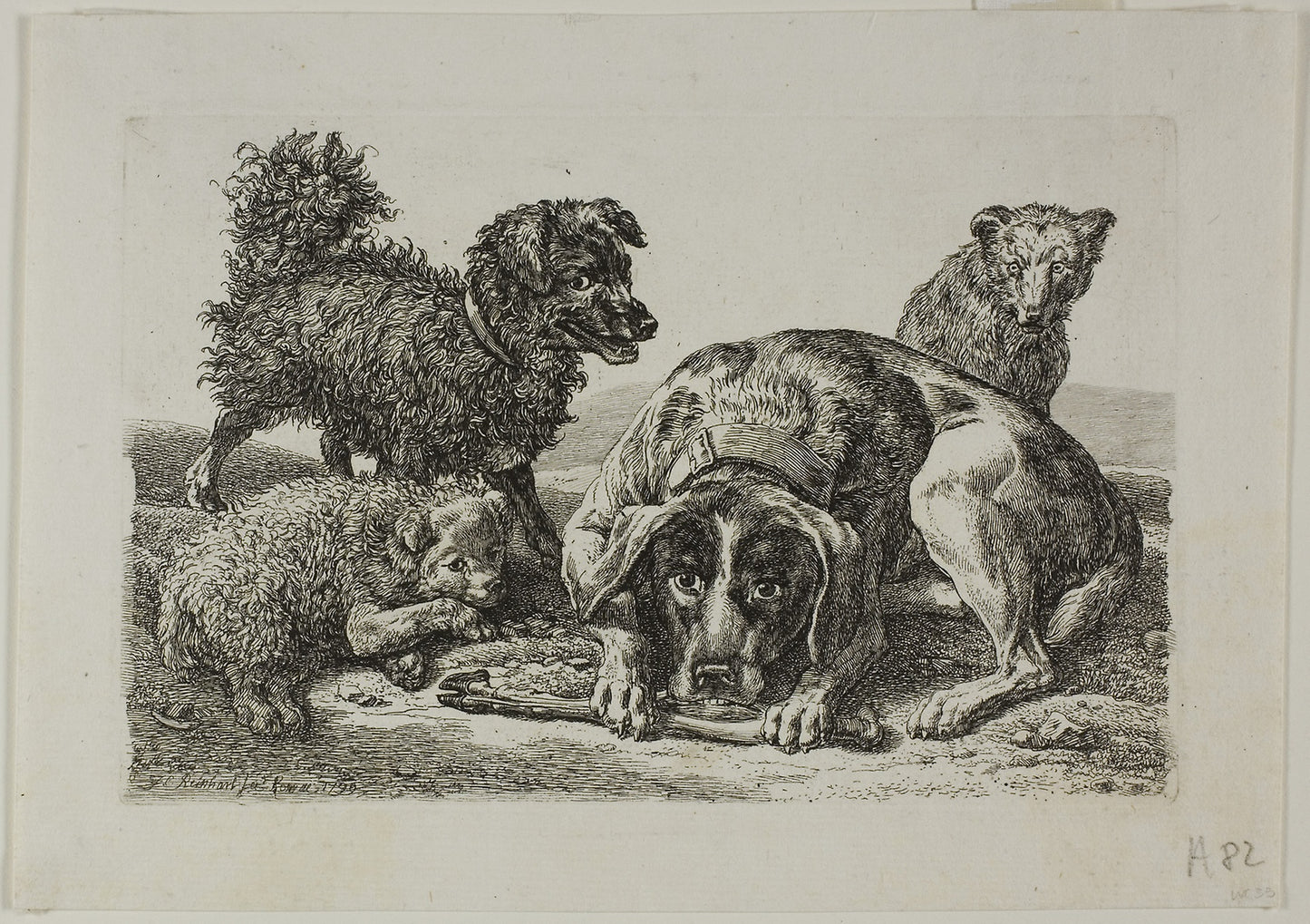 Four Dogs, from Die Zweite Thierfolge -  Johann Christian Reinhart,  Poster Print Wall Art