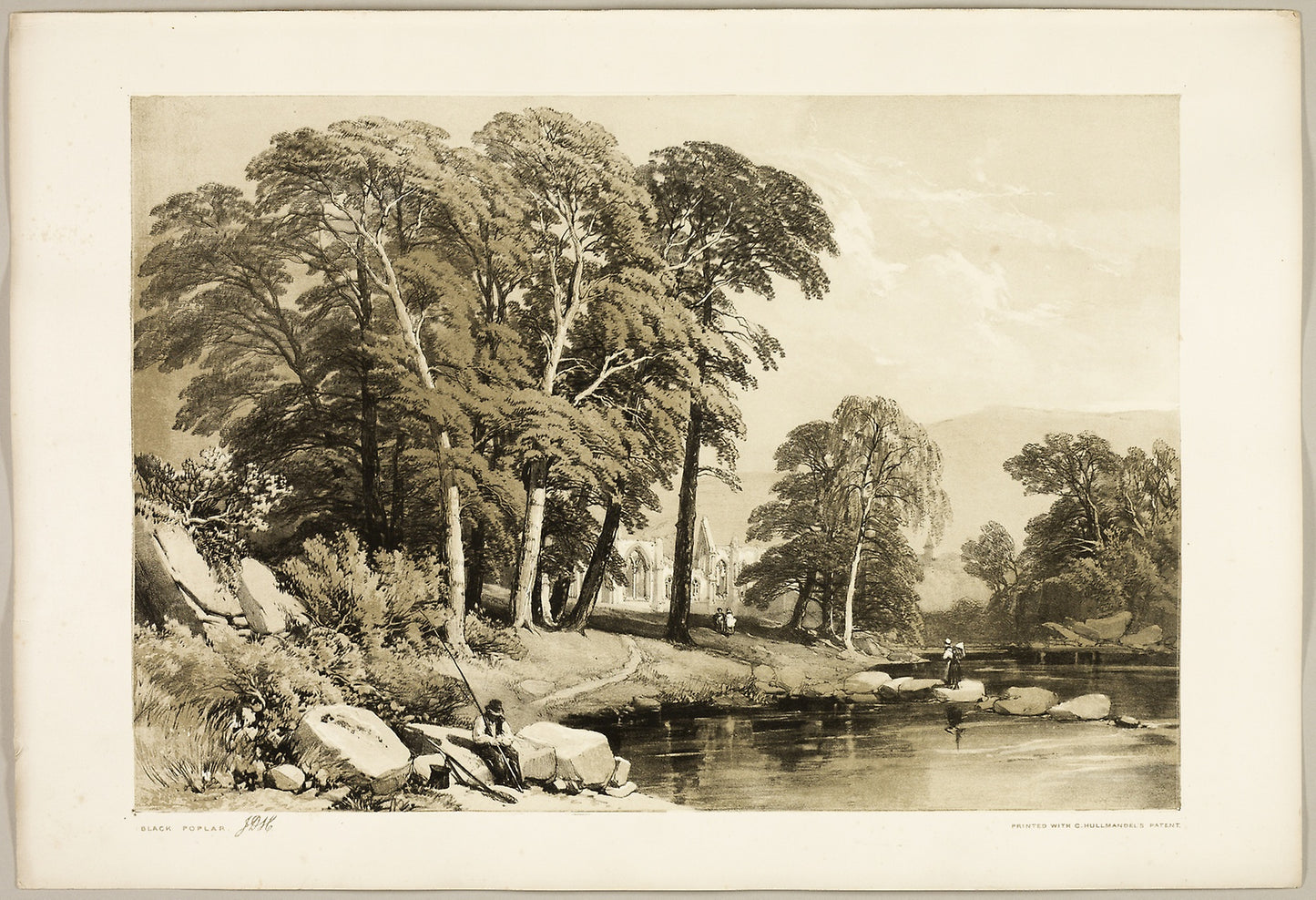 Black Poplar, from The Park and the Forest -  James Duffield Harding (English, 1798-1863),  Poster Print Wall Art