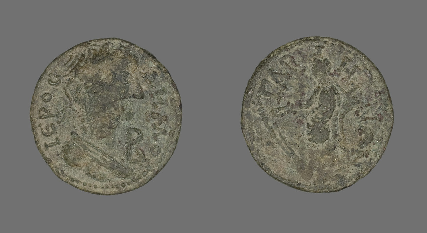 Coin Depicting Populus Romanus -  Roman,  Poster Print Wall Art