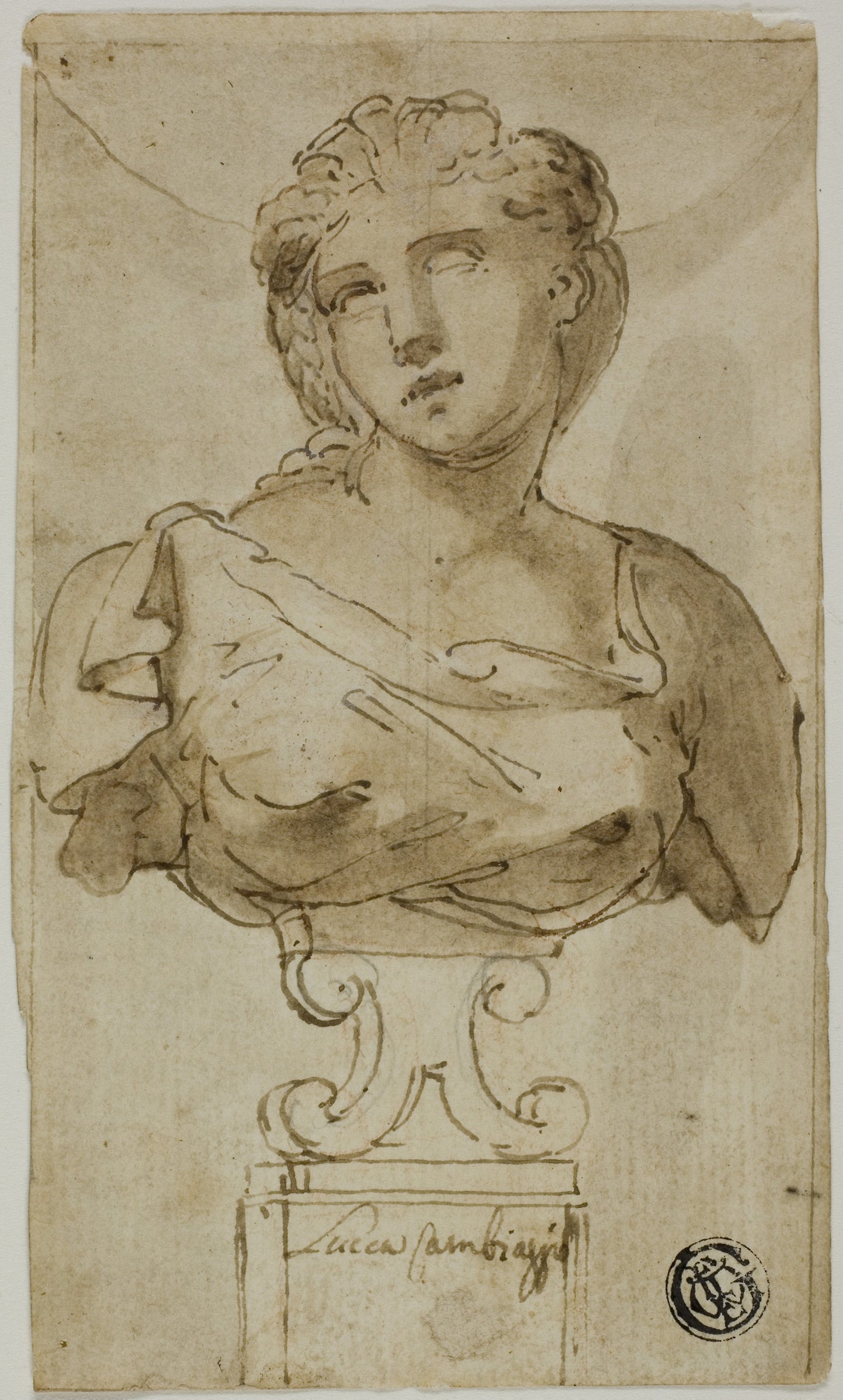 Bust of a Woman -  Attributed to Luca Cambiaso,  Poster Print Wall Art