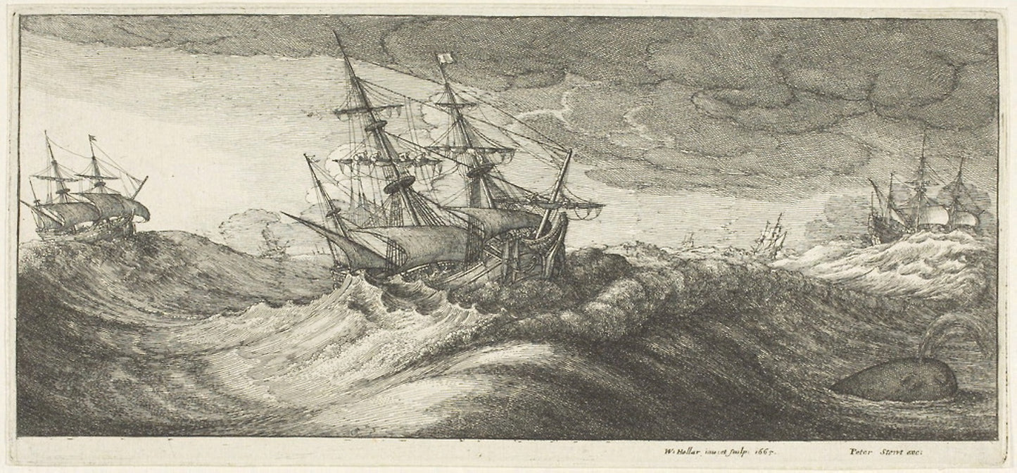 Warships and a Spouting Whale -  Wenceslaus Hollar,  Poster Print Wall Art