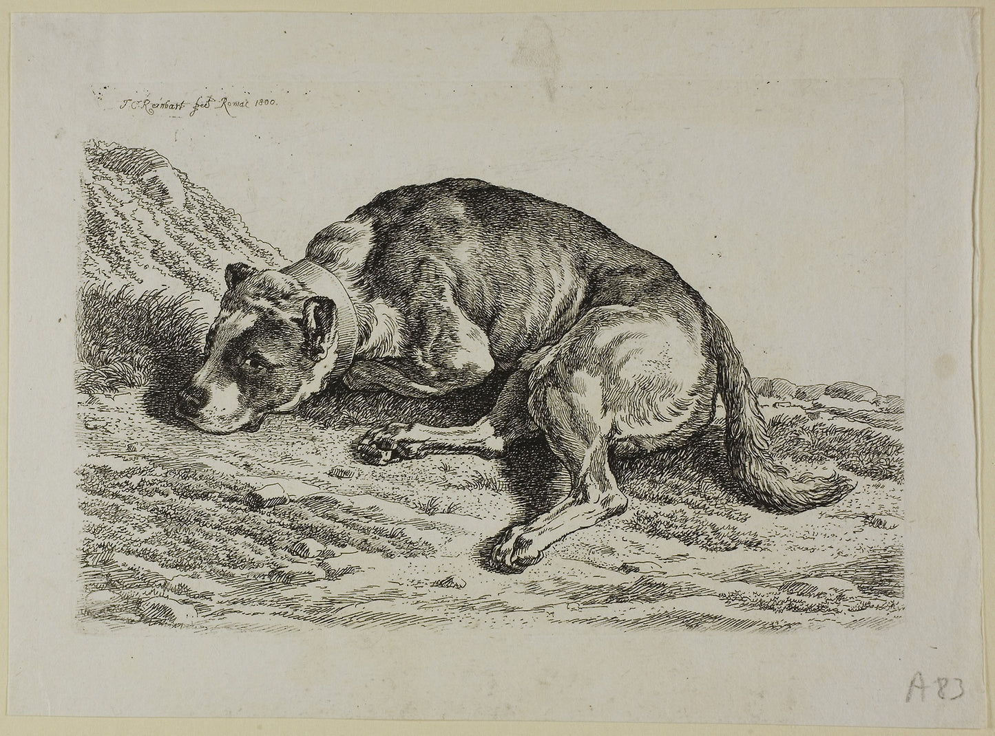 Dog Laying Down, from from Die Zweite Thierfolge -  Johann Christian Reinhart,  Poster Print Wall Art
