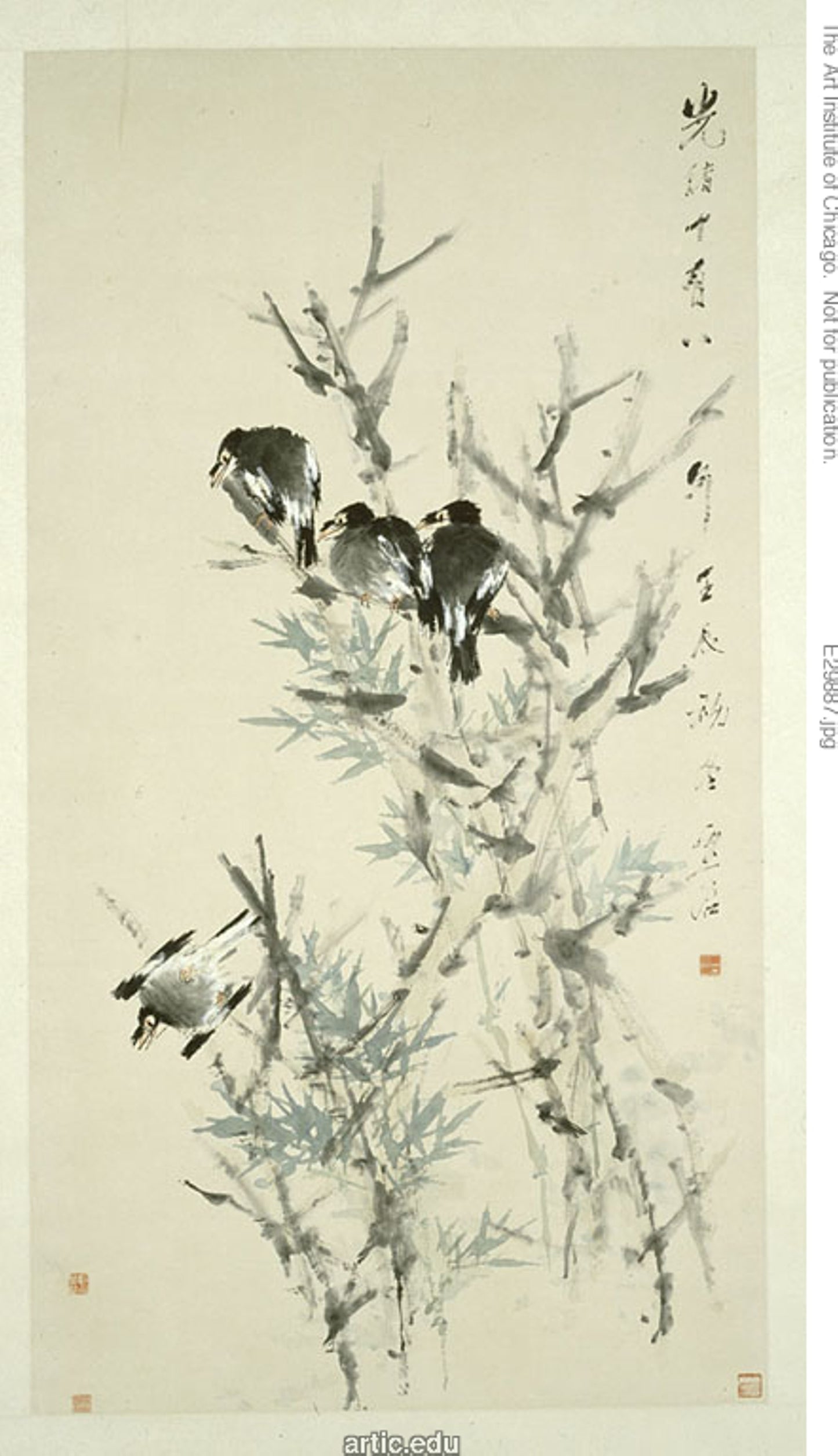 Black Birds -  Xugu,  Poster Print Wall Art
